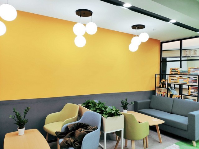 富源魔芋种子价格走势