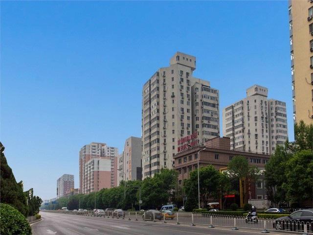 浙江民族梵婕缇眼贴